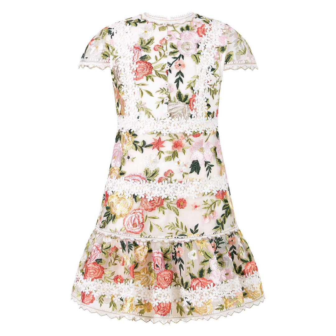 Allure Embroidered Mini Dress
