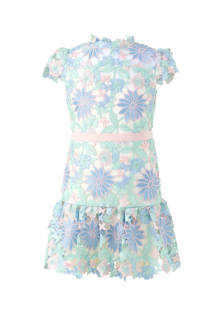 Addison Embroidered Mini Dress
