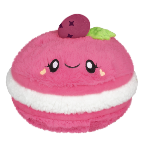 Comfort Food Raspberry Macaron