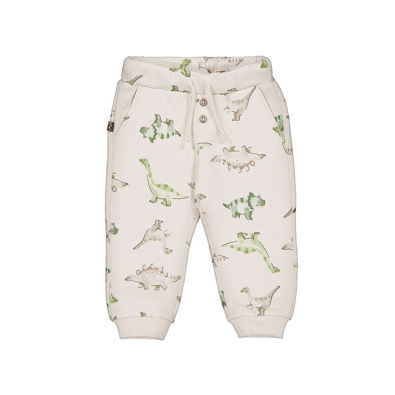 Dinosaur Patterned Pants