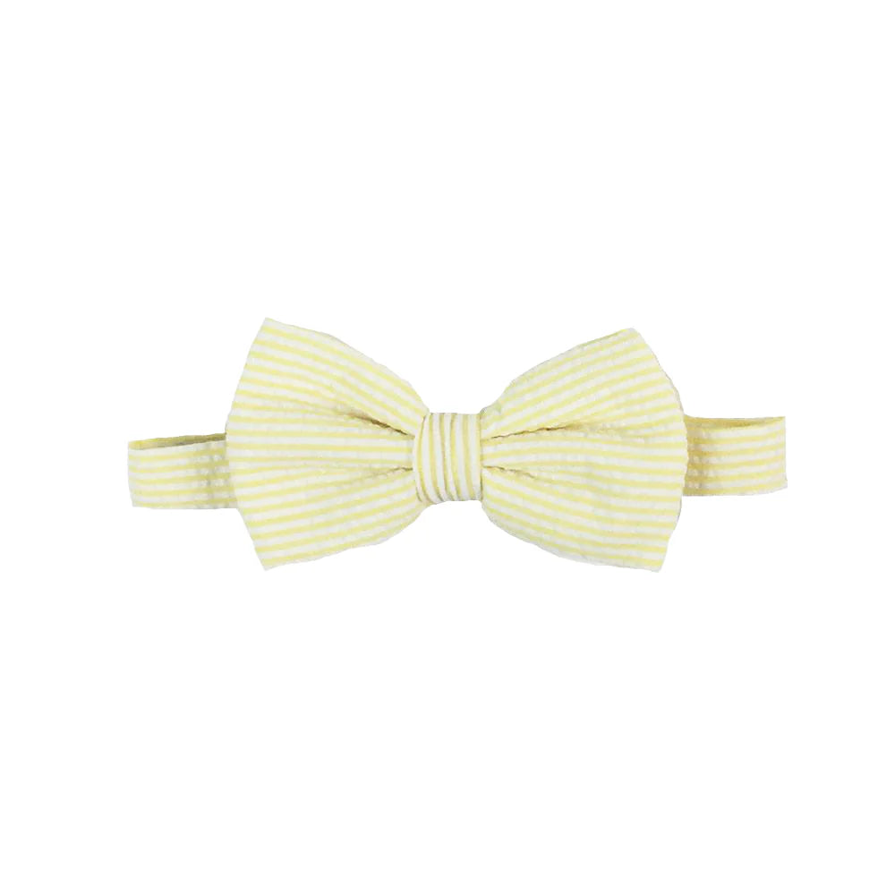 Baylor Bowtie