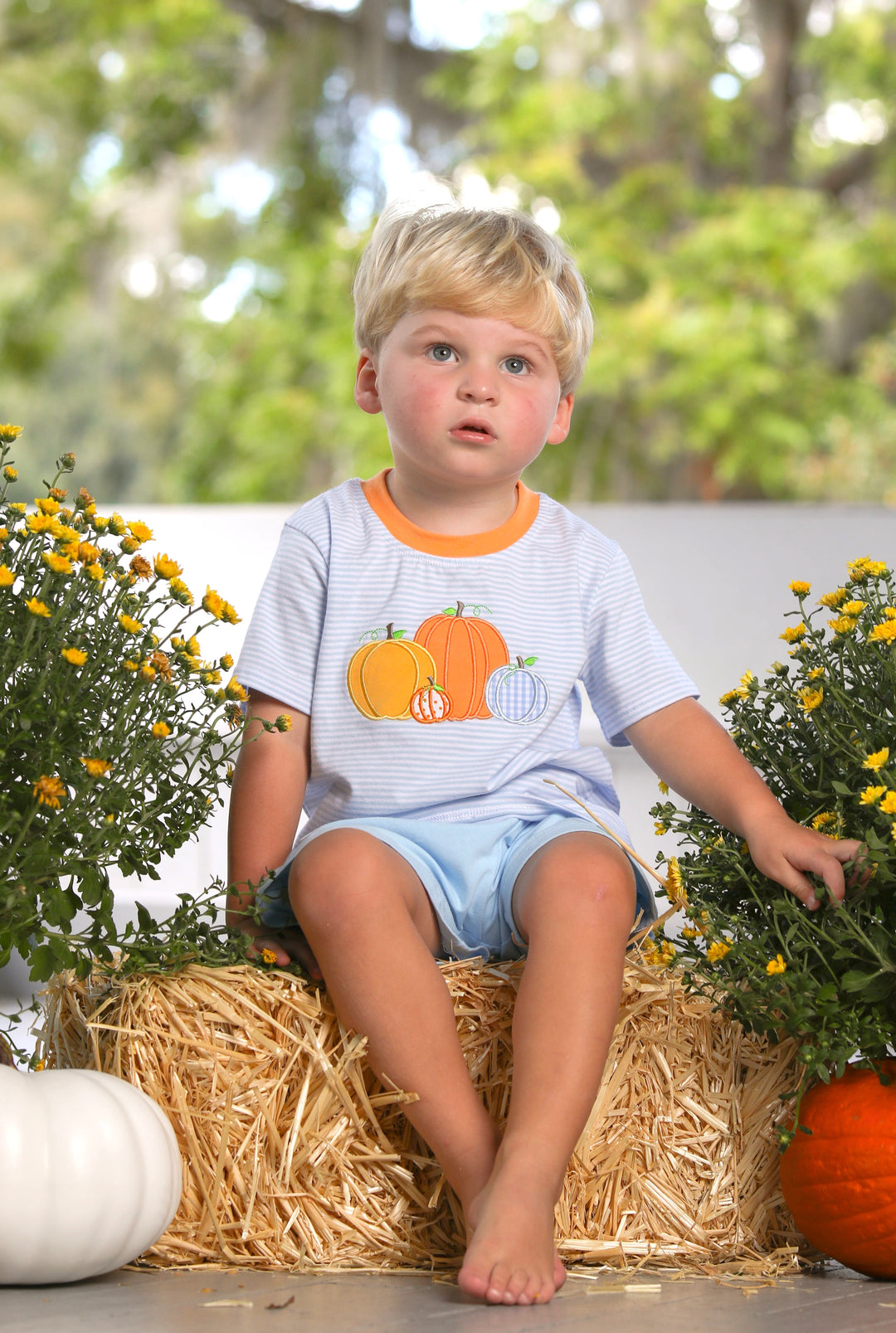 Pumpkin Patch Shirt