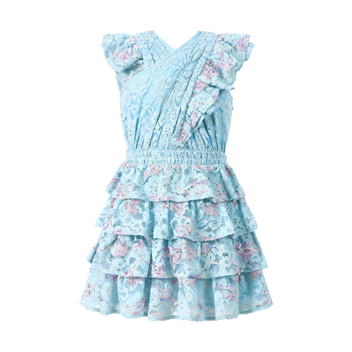 Angelica Embroidered Mini Dress