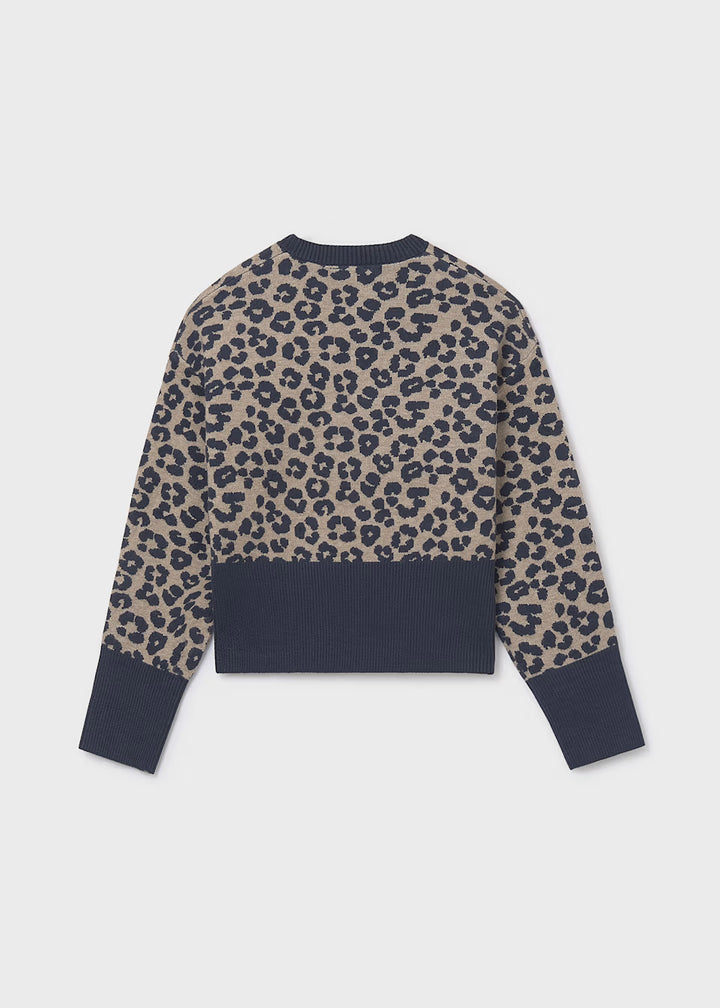 Animal Print Sweater