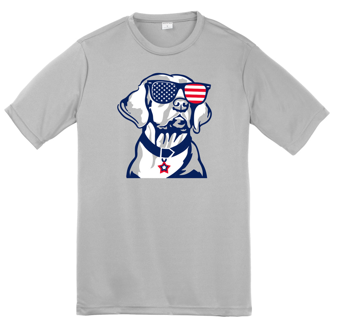 Lab Dog USA Drifit
