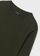 Tween Boy Crewneck Sweater