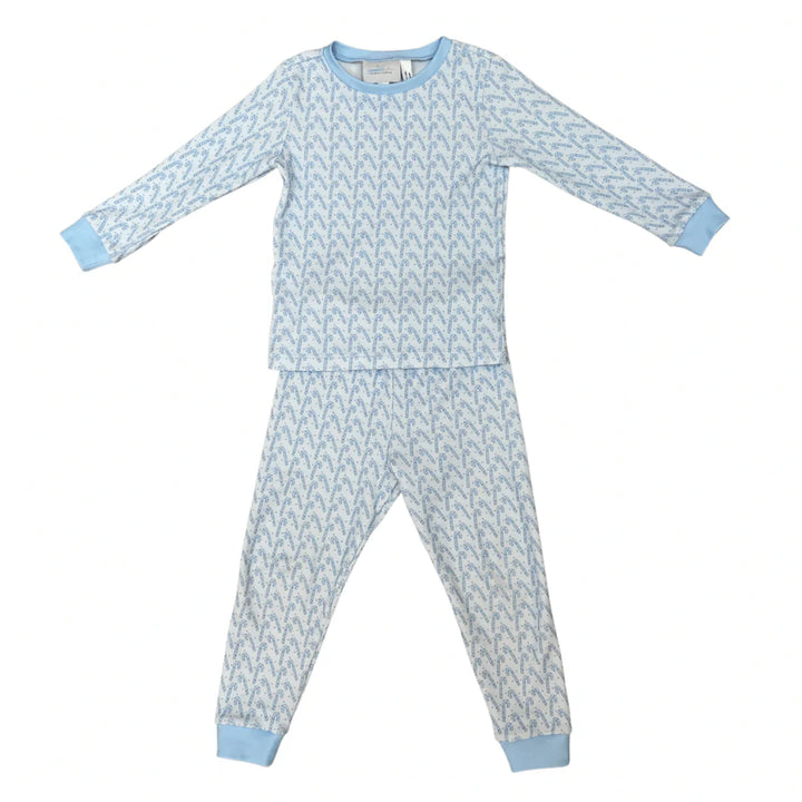 Boys Two Piece Jammies