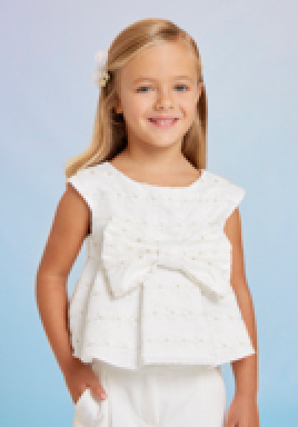 Embroidered Organza Blouse