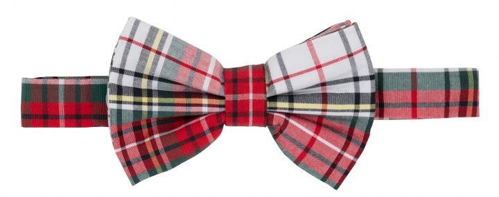 Baylor Bowtie