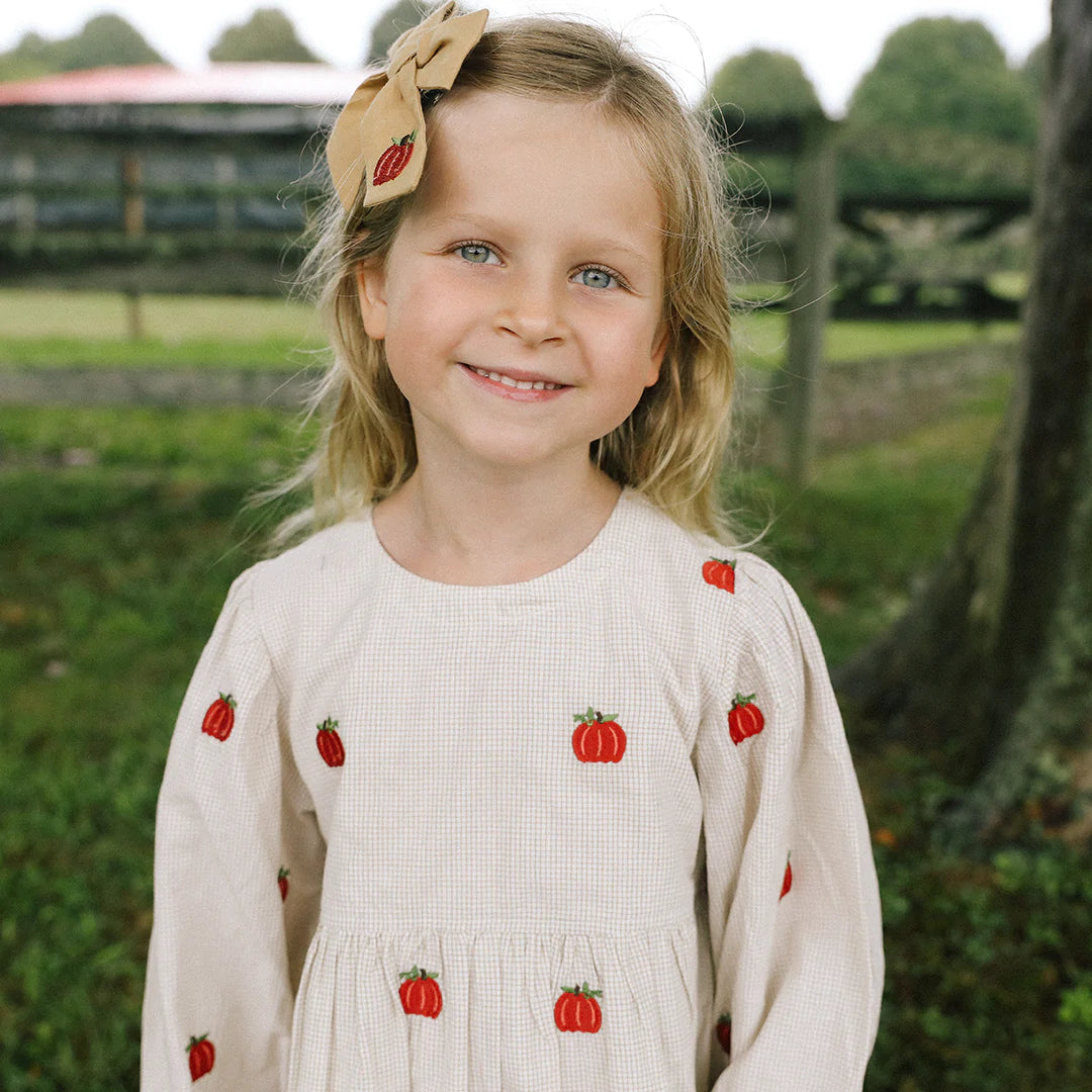 Bea Dress- Pumpkin Embroidery