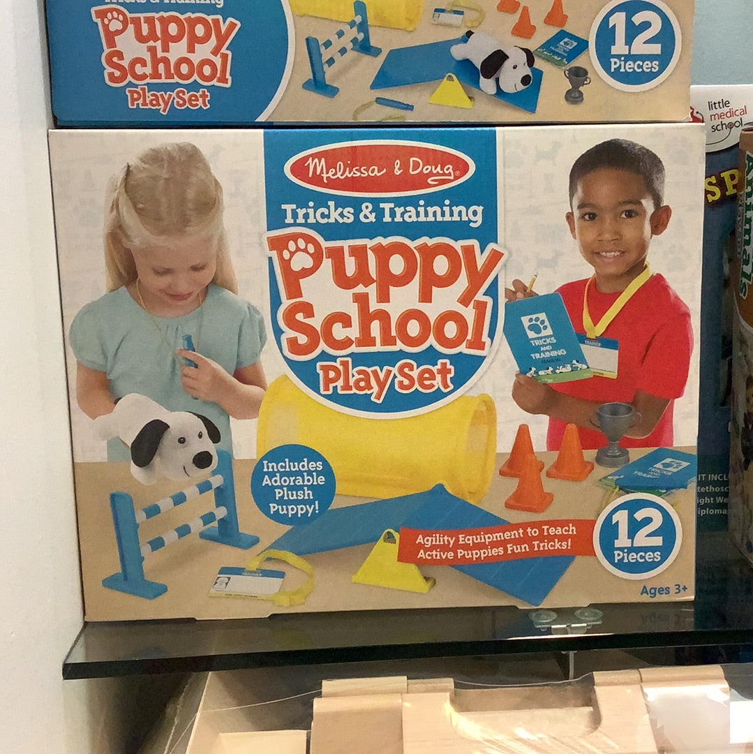 Tricks & Training Puppy School Play Set