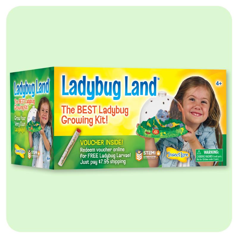 Original Ladybug Land with voucher